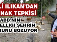 MHP’li Ilıkan’dan bir kez daha ‘barınak’ tepkisi