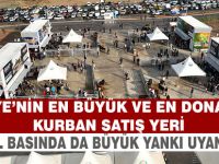 Gölbaşı Kurban Satış ve Kesim Tesisi Türkiye'nin gündeminde