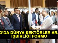Dünya Sektörler Arası İşbirliği Forumu