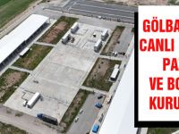 GÖLBAŞI’NDA CANLI HAYVAN PAZARI VE BORSASI KURULUYOR