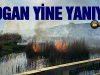 Mogan Gölü sazlıklarda yangın