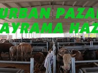 KURBAN PAZARI BAYRAMA HAZIR
