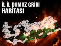 İl il domuz gribi haritası