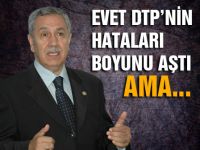 Arınç: DTPnin hataları boyunu bile aştı ama...