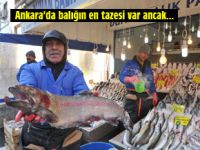 ANKARADA BALIĞIN EN TAZESI VAR, ANCAK!..