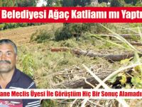 Gölbaşı Belediyesi Ağaç Katliamı mı yaptı?