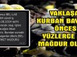 KURBAN BAYRAMI ÖNCESİ 300'E YAKIN ÇALIŞANIN İŞİNE SON VERİLCEK