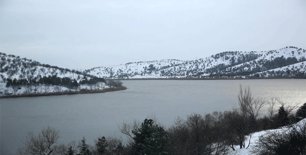 014.gif