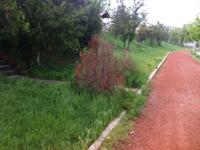 1.20120512163714.jpg