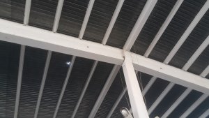 20170819_113016.jpg