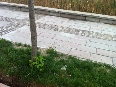 3.20120512163739.jpg