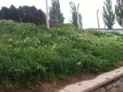 4.20120512163752.jpg