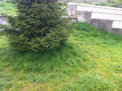 7.20120512163822.jpg