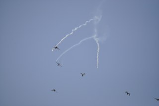 _dsc0072_320x213-002.jpg