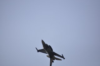 _dsc0278_320x213.jpg